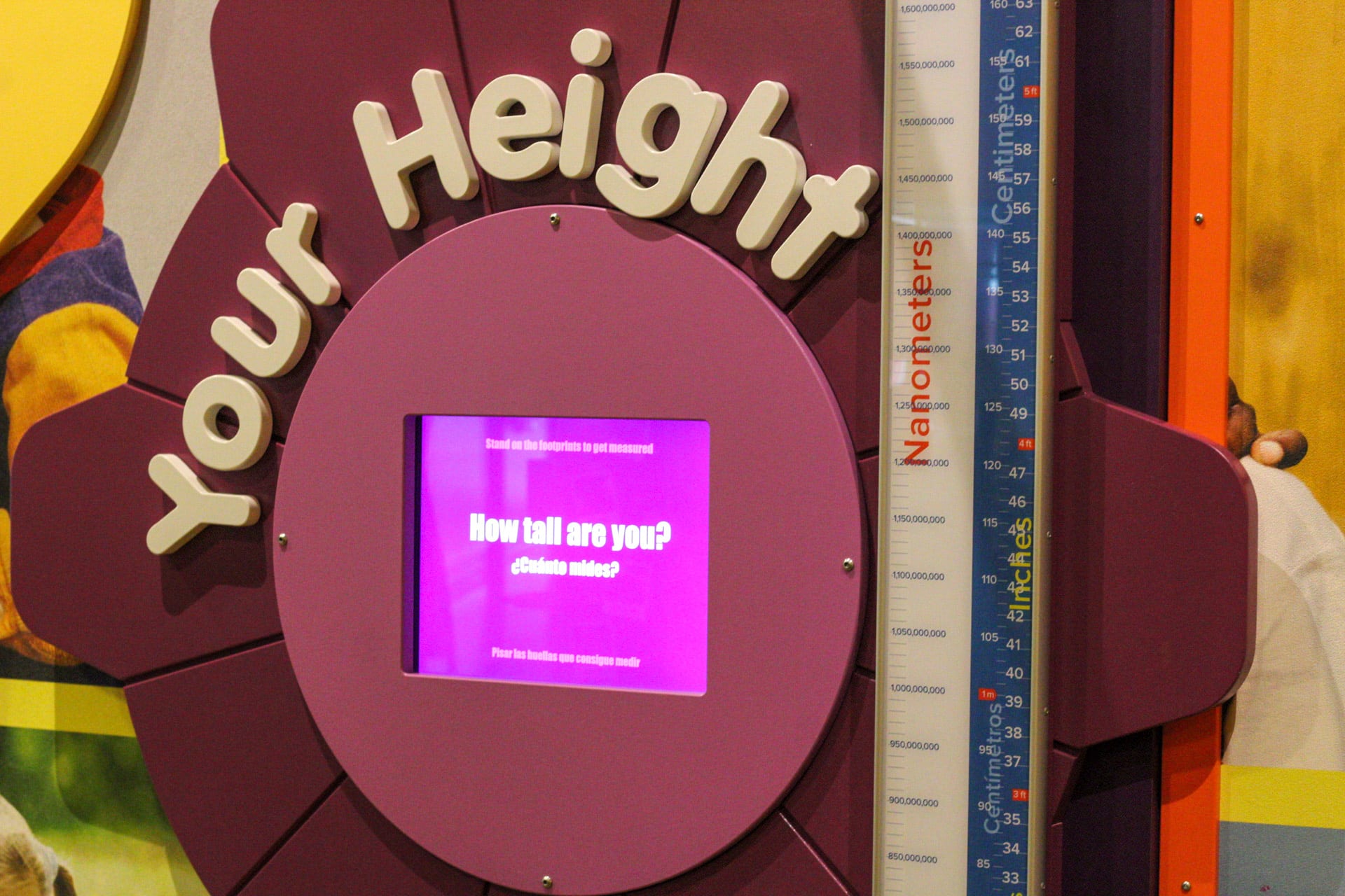 Height measurement exhibit.