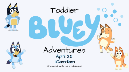 Toddler Bluey Adventures