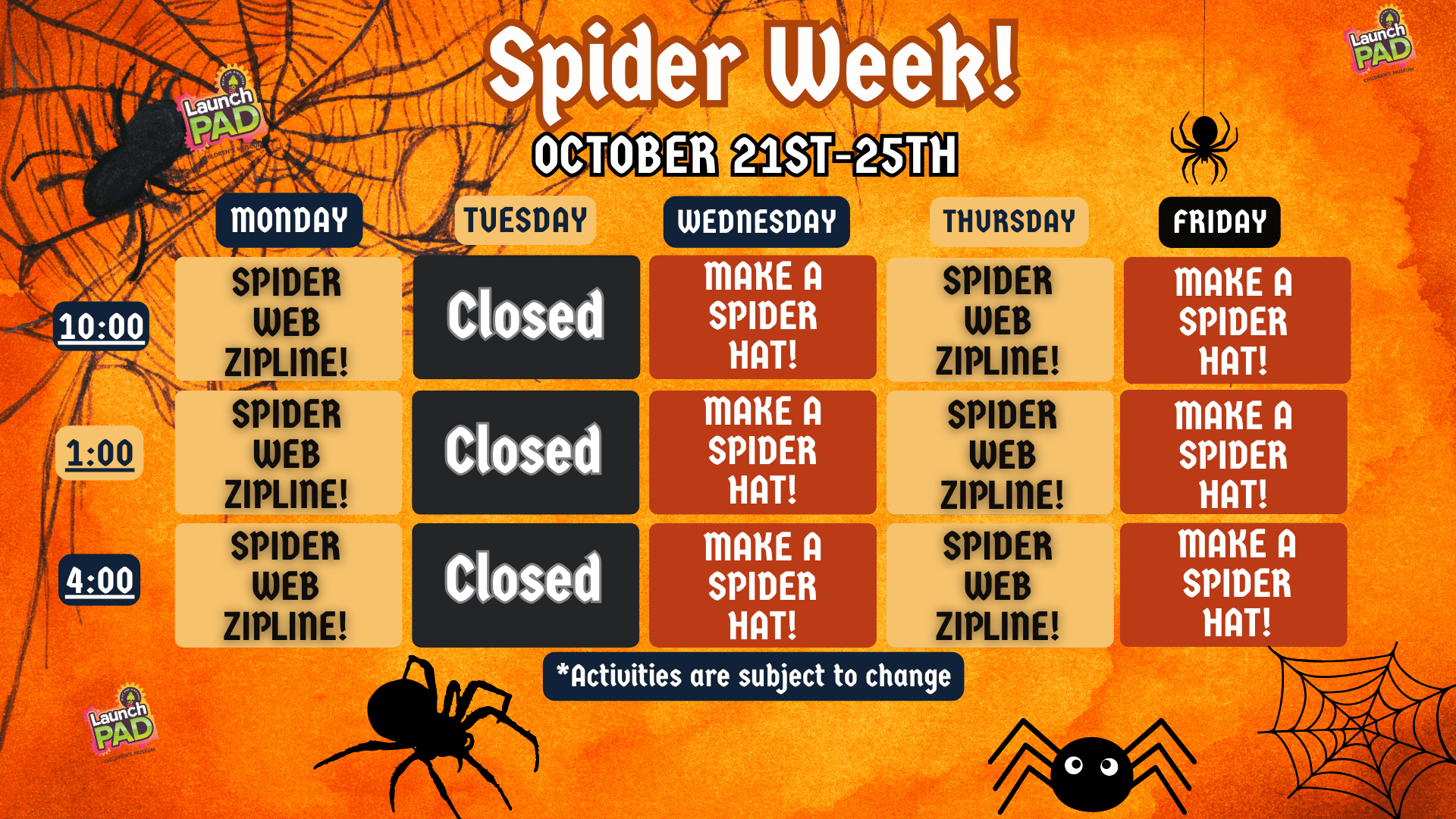 Spider week!