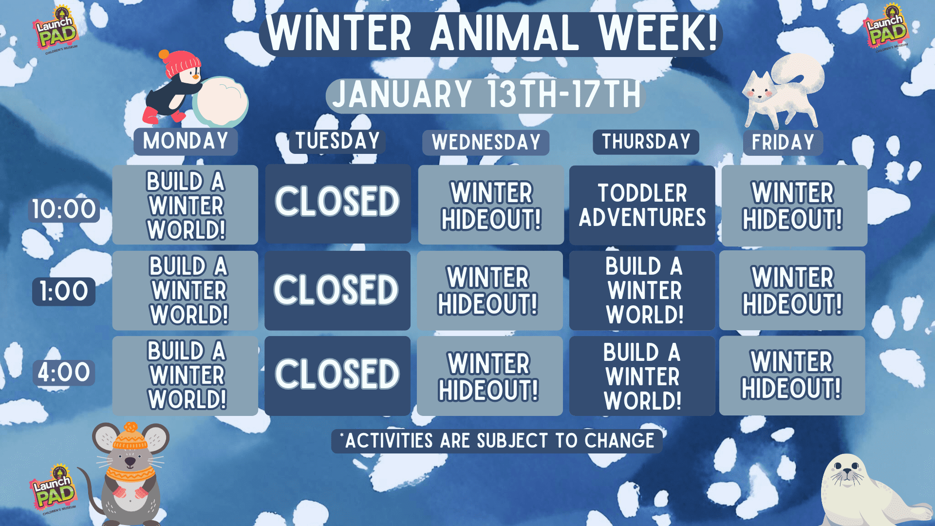 Winter animal week!